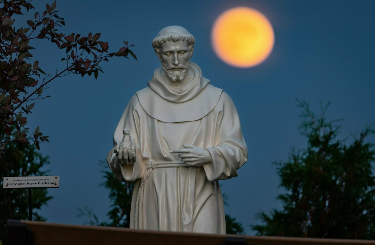 Five reasons why St. Francis is a model of synodality
